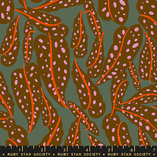 Calathea - Overlapping Leaves - Cocoa