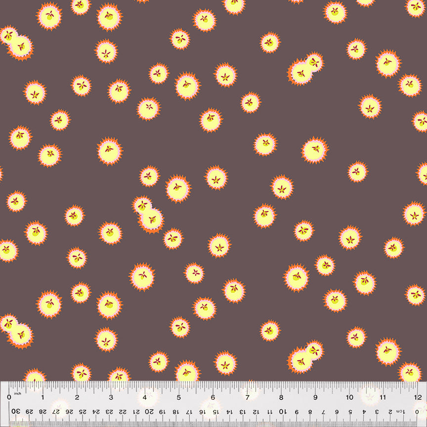Forestburgh - Fireflies - Plum