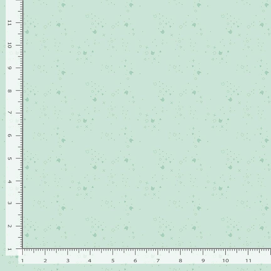 Kitty Litter - Frost