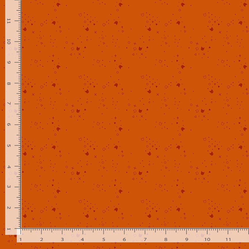 Kitty Litter - Orange