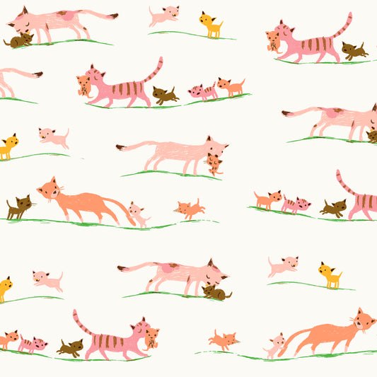 Studio Edit - Mother Cats Cream